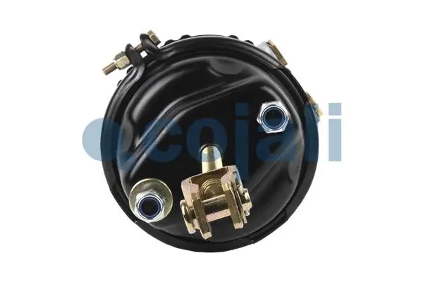 Spring-loaded Cylinder