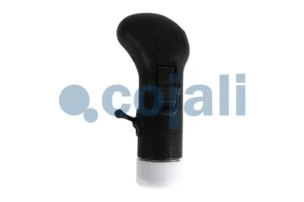 Gear Shift Lever Knob (2880272)