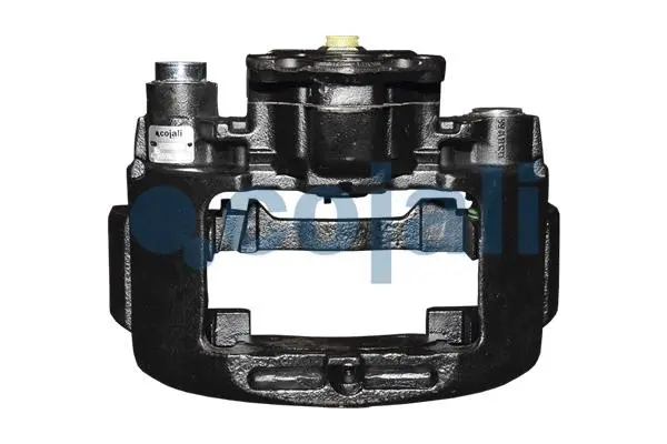 Brake Caliper (359231)