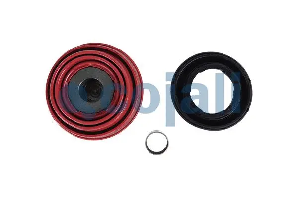 Repair Kit, brake caliper (6084011)