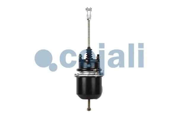 Spring-loaded Cylinder