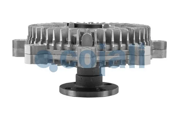 Clutch, radiator fan (8134105)