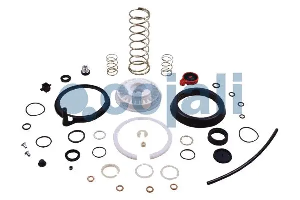 Repair Kit, clutch booster (6032130)