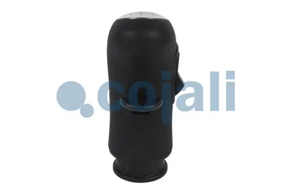 Gear Shift Lever Knob (2880157)