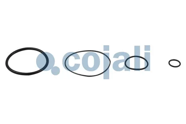 Repair Kit, relay valve