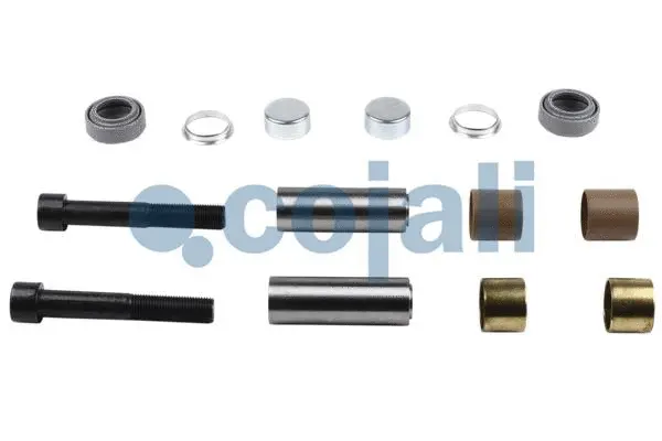 Repair Kit, brake caliper (6086085)