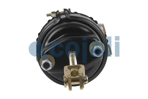 Spring-loaded Cylinder