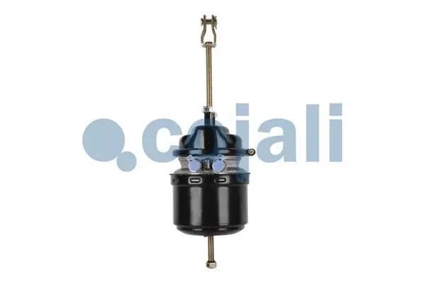 Spring-loaded Cylinder (2251530)