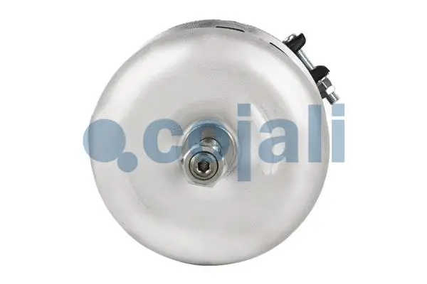 Spring-loaded Cylinder