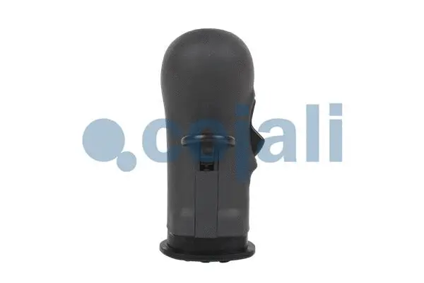 Gear Shift Lever Knob (2880140)