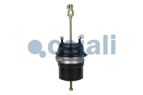 Spring-loaded Cylinder