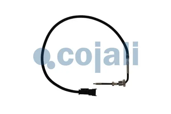 Sensor, exhaust gas temperature (2260892)