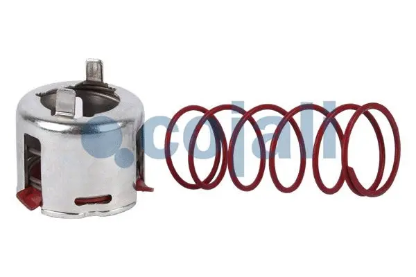 Repair Kit (6071010)