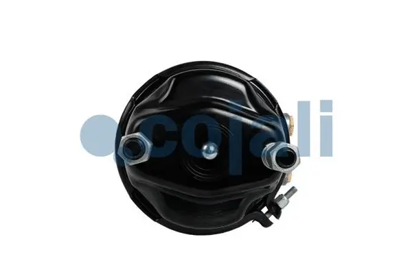 Spring-loaded Cylinder