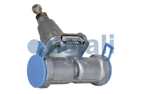 Overflow Valve (2206107)