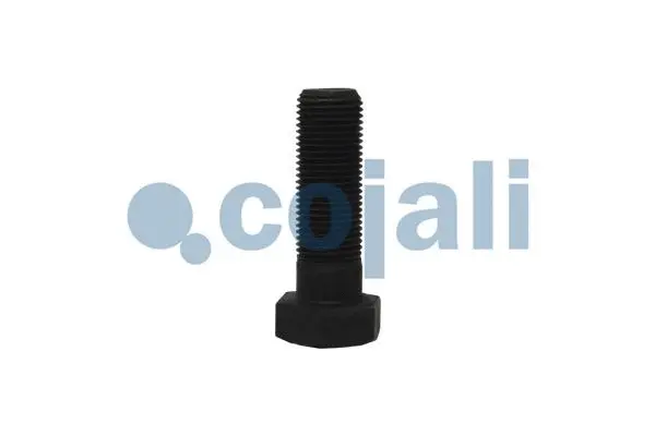 Clutch, radiator fan