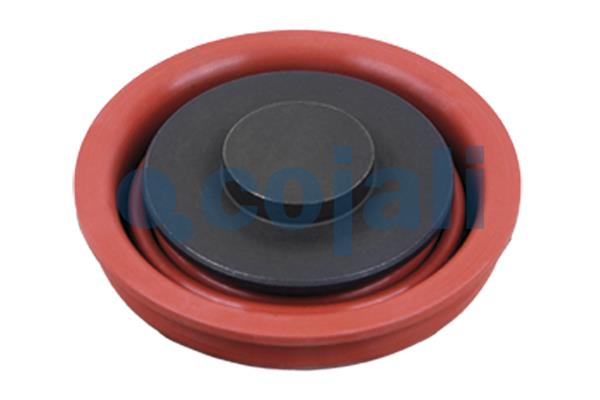 Repair Kit, brake caliper