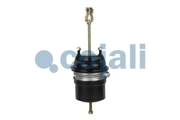 Spring-loaded Cylinder