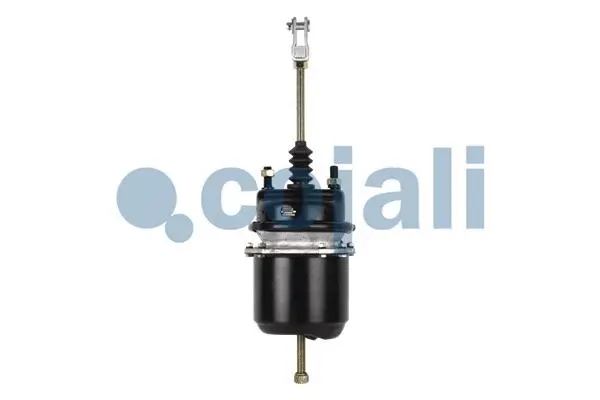 Spring-loaded Cylinder