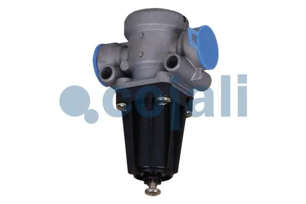 Pressure Limiting Valve (2223144)