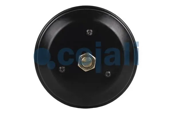 Spring-loaded Cylinder