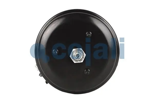 Spring-loaded Cylinder