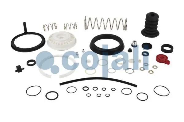 Repair Kit, clutch booster (6012158)