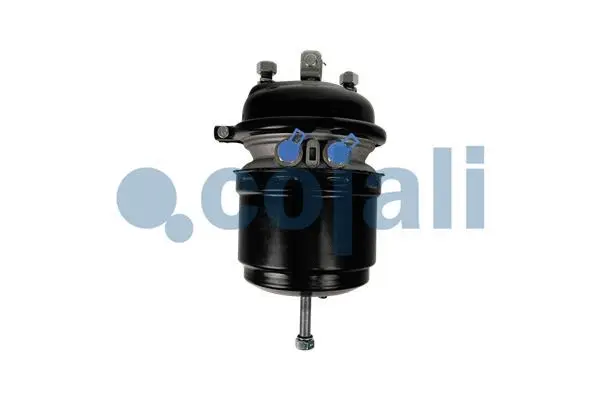 Spring-loaded Cylinder (2251611)