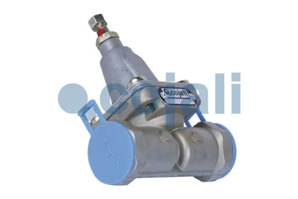 Overflow Valve (2206139)