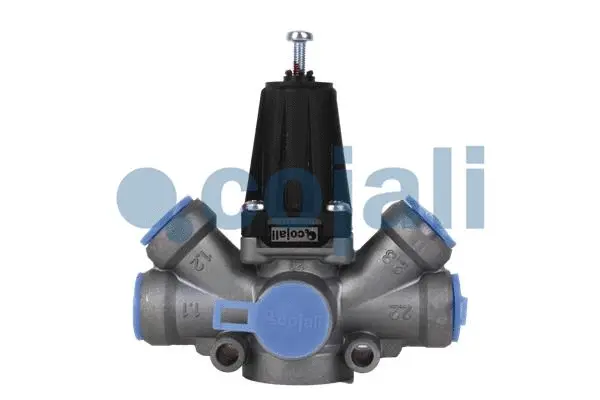 Pressure Limiting Valve (2223161)