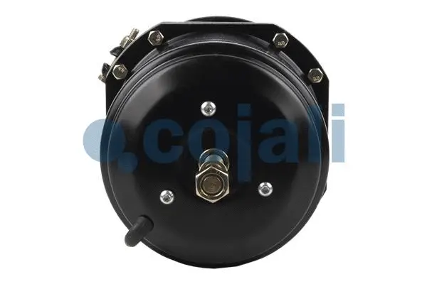 Spring-loaded Cylinder