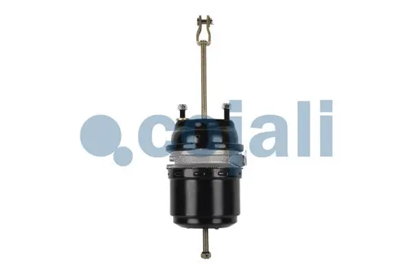 Spring-loaded Cylinder