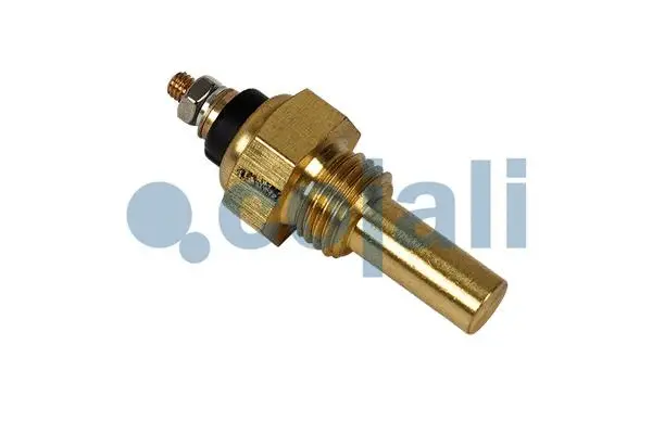 Sensor, intake air temperature (2260609)