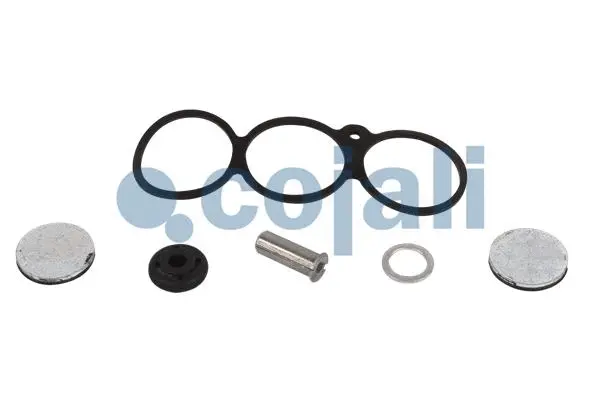Repair Kit, air spring valve