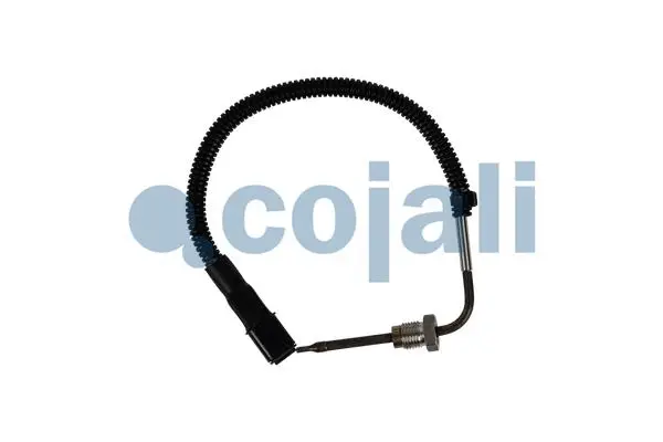 Sensor, exhaust gas temperature (2262015)