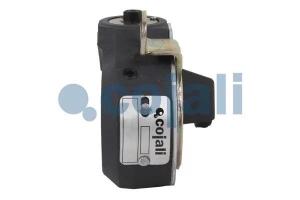 Adjuster, braking system