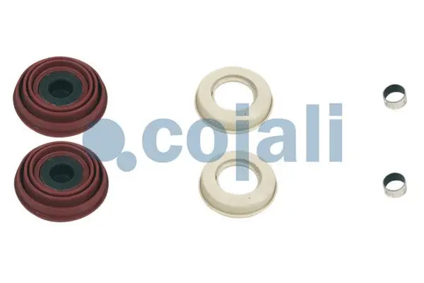 Repair Kit, brake caliper (6084001)
