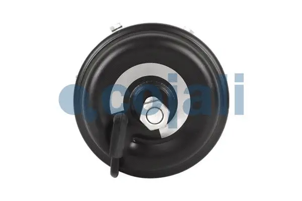 Spring-loaded Cylinder