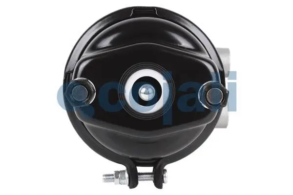 Spring-loaded Cylinder