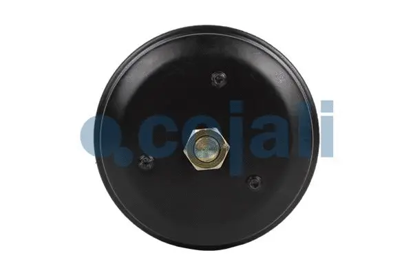 Spring-loaded Cylinder