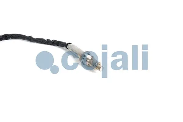NOx Sensor, urea injection