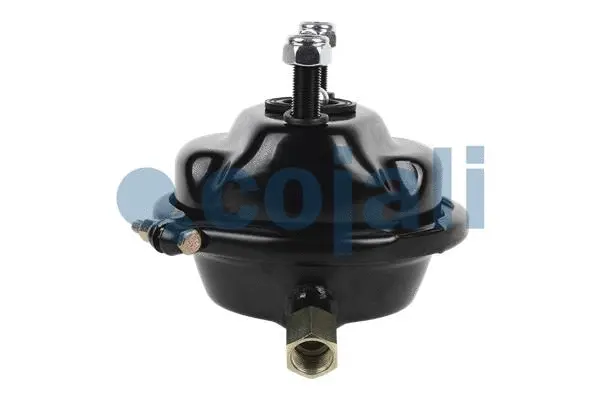 Diaphragm Brake Cylinder