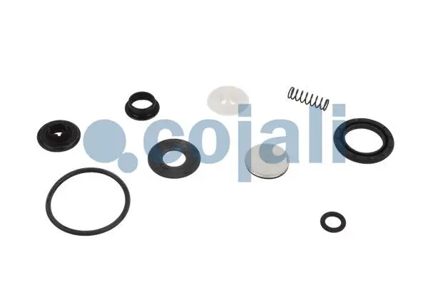 Repair Kit (6012256)