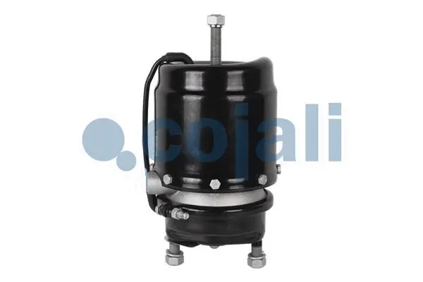 Spring-loaded Cylinder