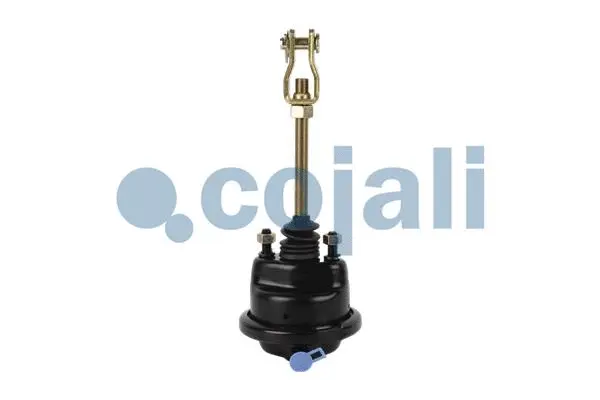 Diaphragm Brake Cylinder (2251100)