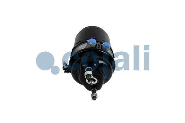 Spring-loaded Cylinder