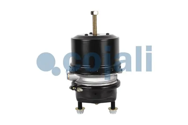 Spring-loaded Cylinder