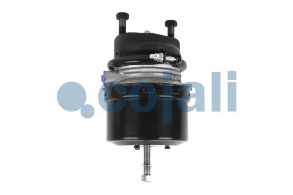 Spring-loaded Cylinder