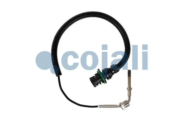 Sensor, exhaust gas temperature (2262659)