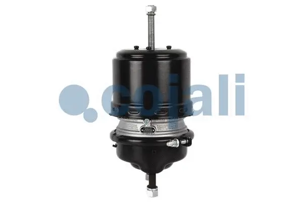Spring-loaded Cylinder